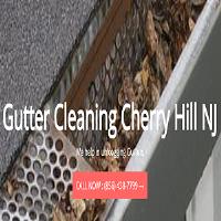 Gutter Cleaning Cherry Hill image 1